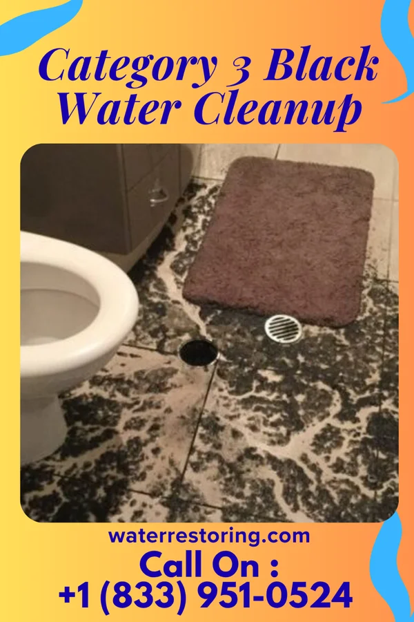 Category 3 Black Water Cleanup in Indian Creek, FL